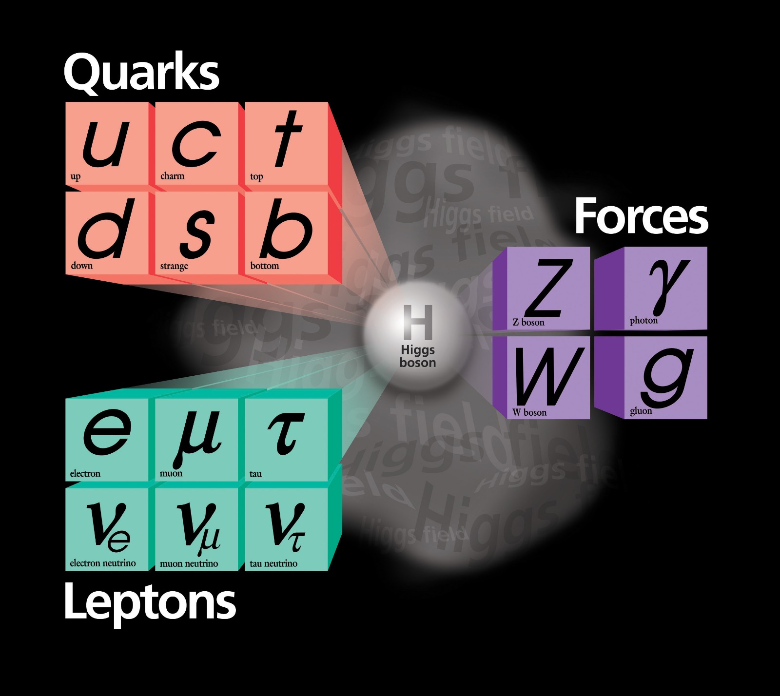 Standard Model of Particle Physics
